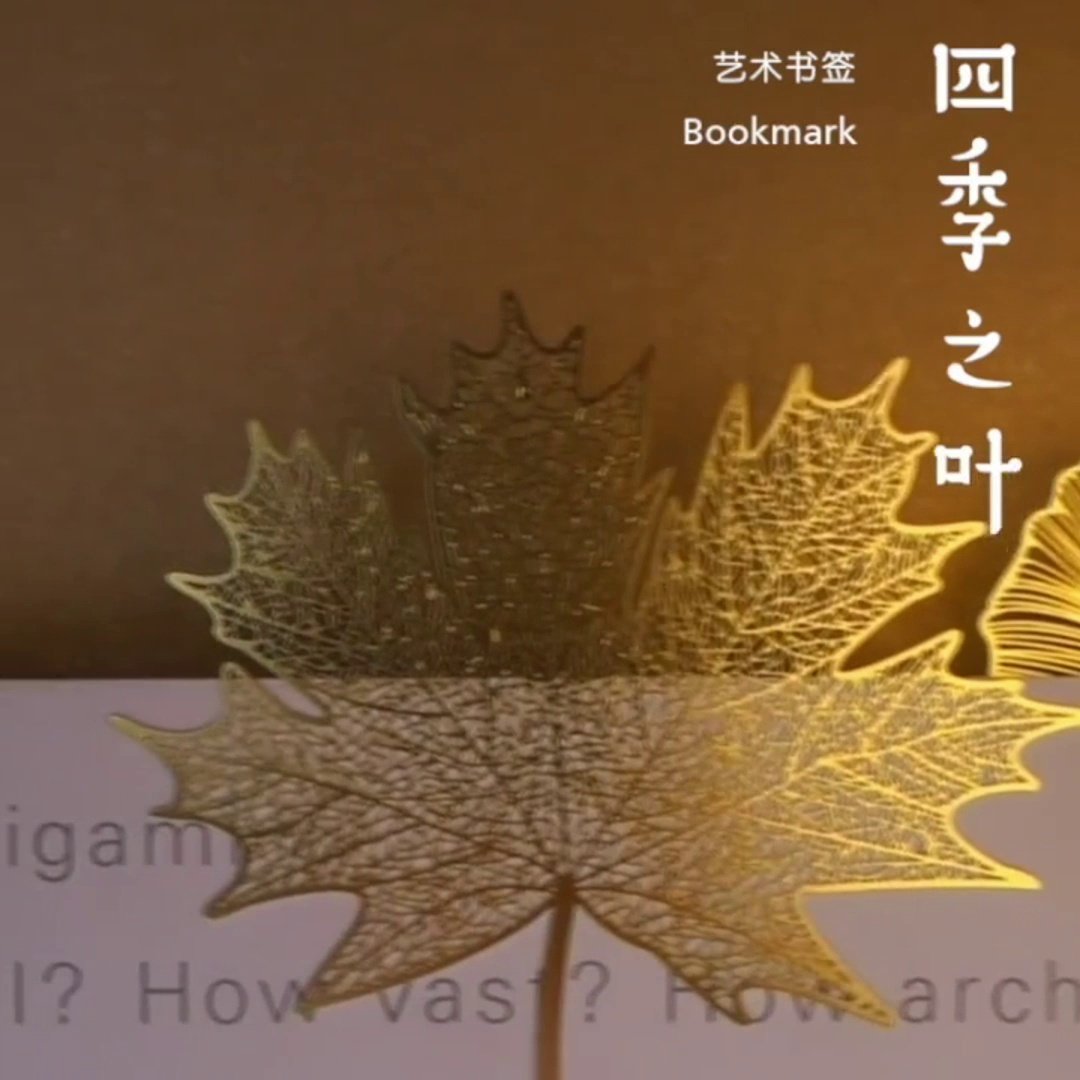 橡树的叶子作用之一是形成清晰叶脉结构,可作天然标本与文创灵感来源🌿 - 好物爆料 - 淘江湖