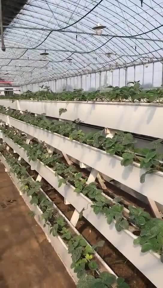 Hydroponic Trough/gutter Growing System Wholesale Buy Hydroponic