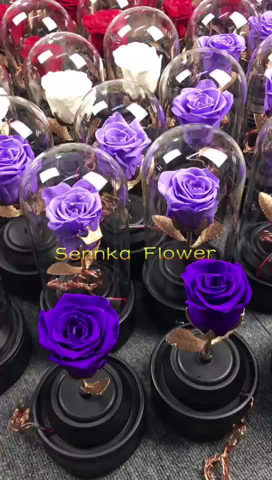 Glass Dome Long Life Rose Preserved Stabilized Roses In