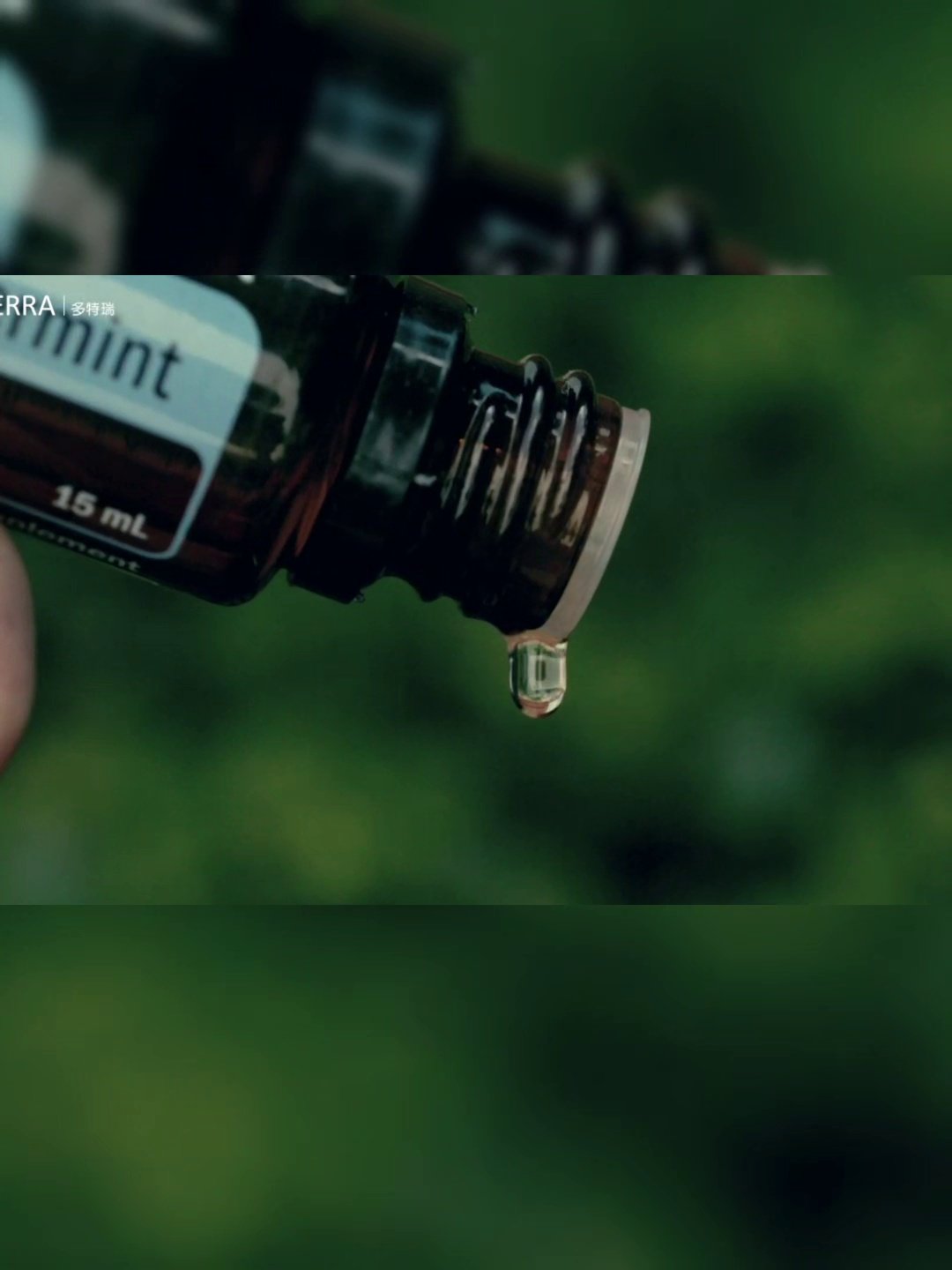 当薄荷与清醒相遇：doterra多特瑞椒样薄荷精油的哲学之美_单方精油_淘宝美妆网
