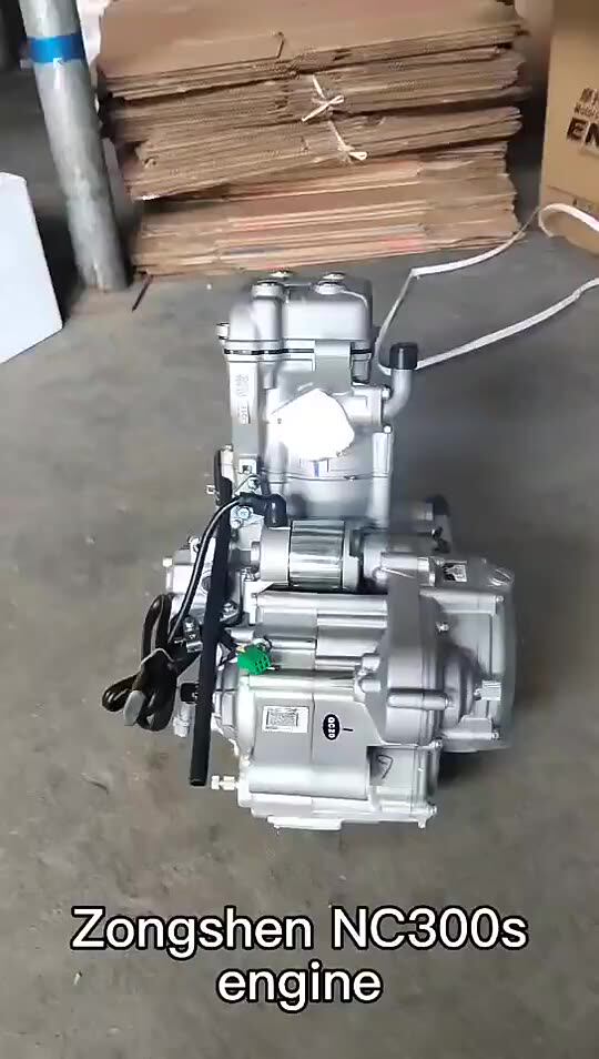 ZS174MN-3 Zongshen 300cc Engine Single Cylinder 4 Stroke 4 Valve
