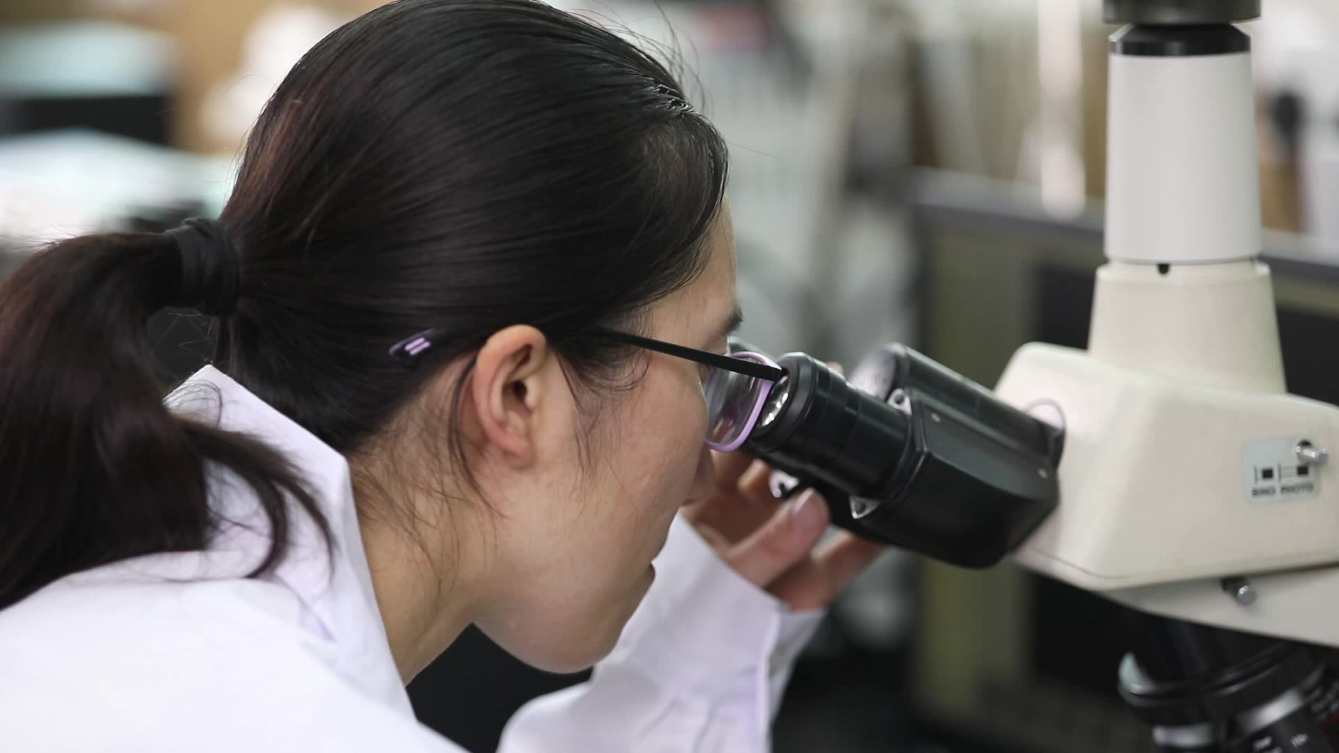 Oem Maca Root Capsules With Fenugreek Ashwagandha Tongkat L Arginine