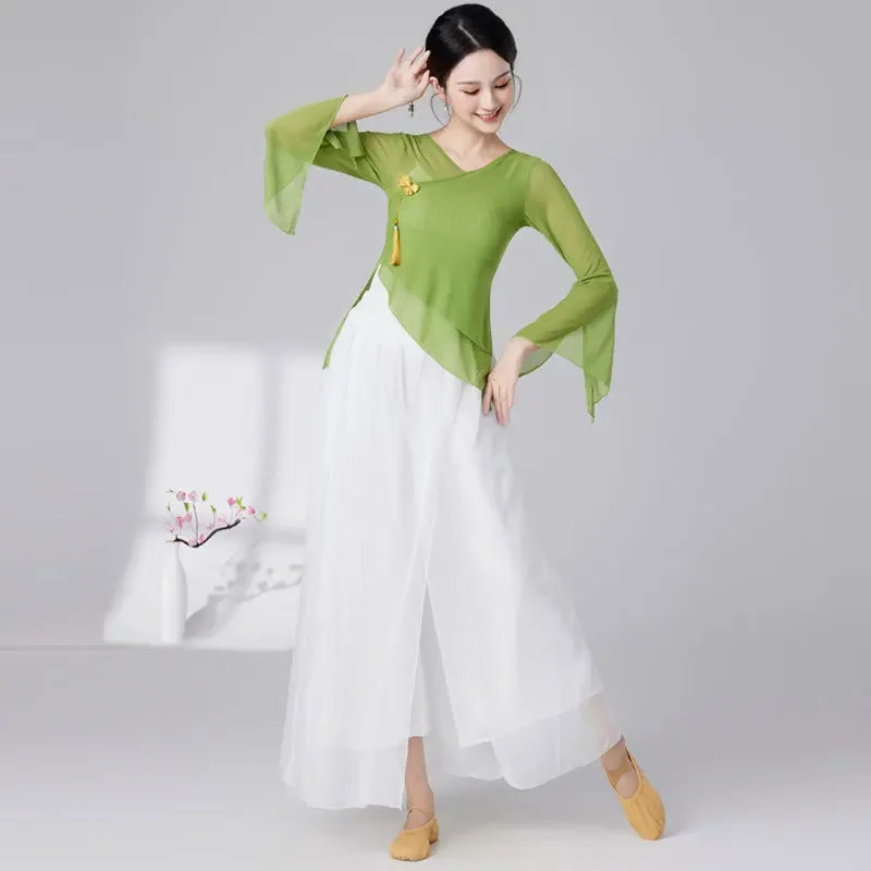 Classical dance clothing gauze body rhyme Chinese dance folk dance practice clothing art examiner practice body training clothing top