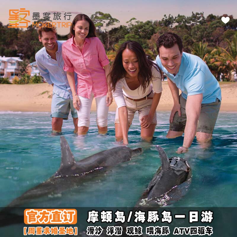 Inkwell Travel Gold Coast Brisbane Moreton Island Dolphin Island One-Day Tour: Feeding Dolphins, Snorkeling, Atv Sandboarding
