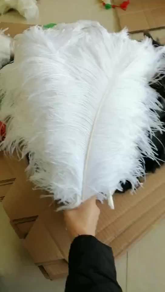 Best Price Artificial Angel White Large Size Bulk Ostrich Feather Buy