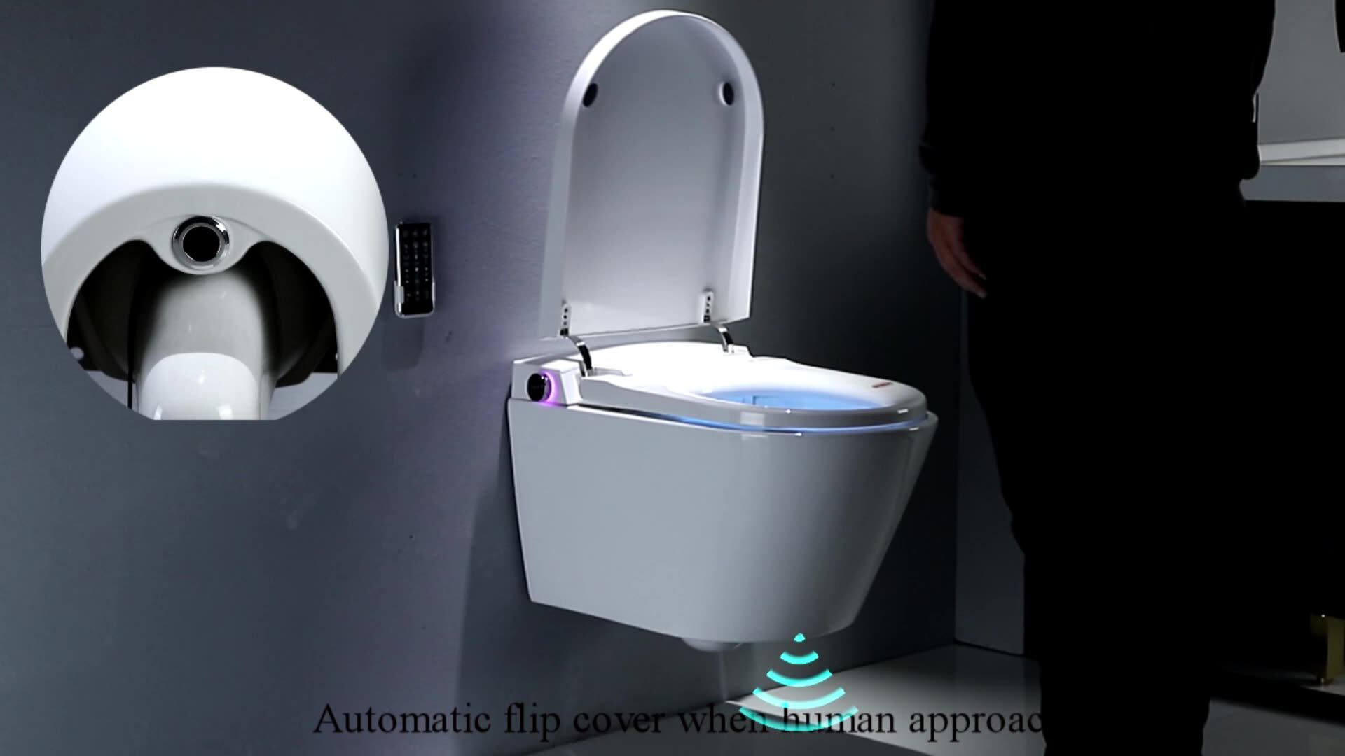 European Bidet Water Closet Save Space Ptrap Rimless Intelligent Wc