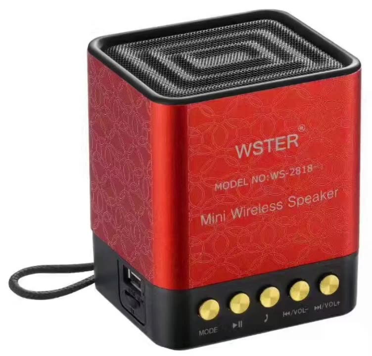 Original Wster Ws2818 Support Usb Tf 