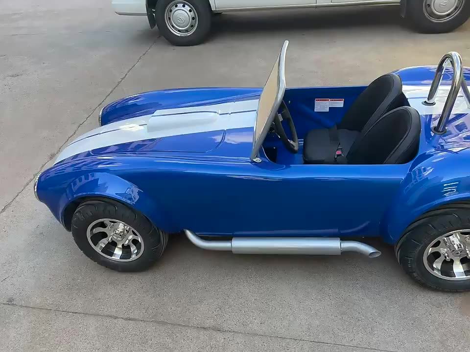 Cool Gasoline 150cc Mini Cobra Hot Rod Car Mini Cart Buggy For Sale