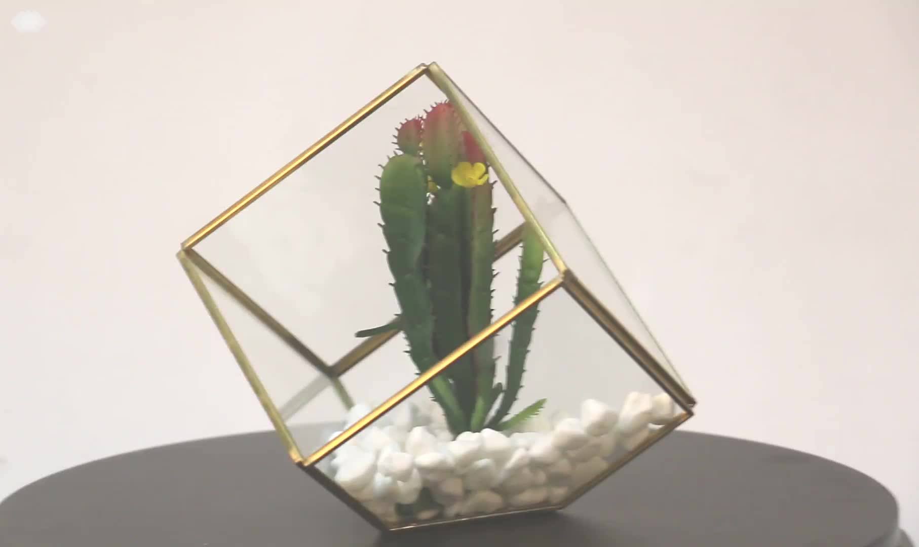 4.7 Inch Geometric Terrarium Glass Planter Pot For Plants 3 Pack