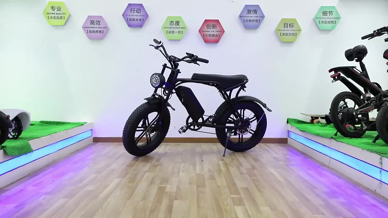 V8 Electric Bike Offroad Fat Tire Bicycle Sand Beach Ebike All