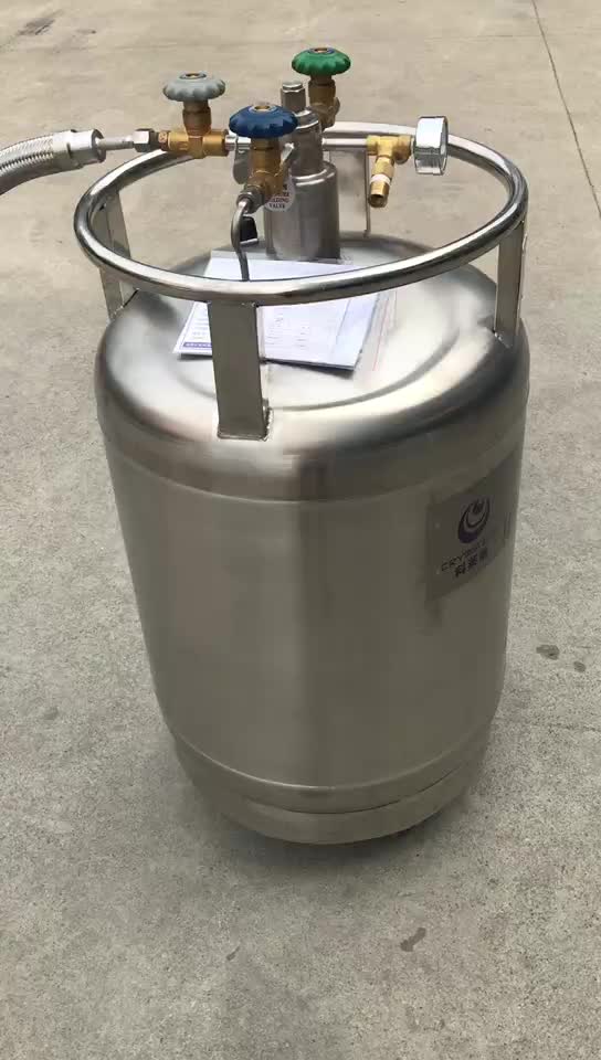 YDZ 50l 100l 150l 175l 200l 230l Liquid Nitrogen Pressure Vessels