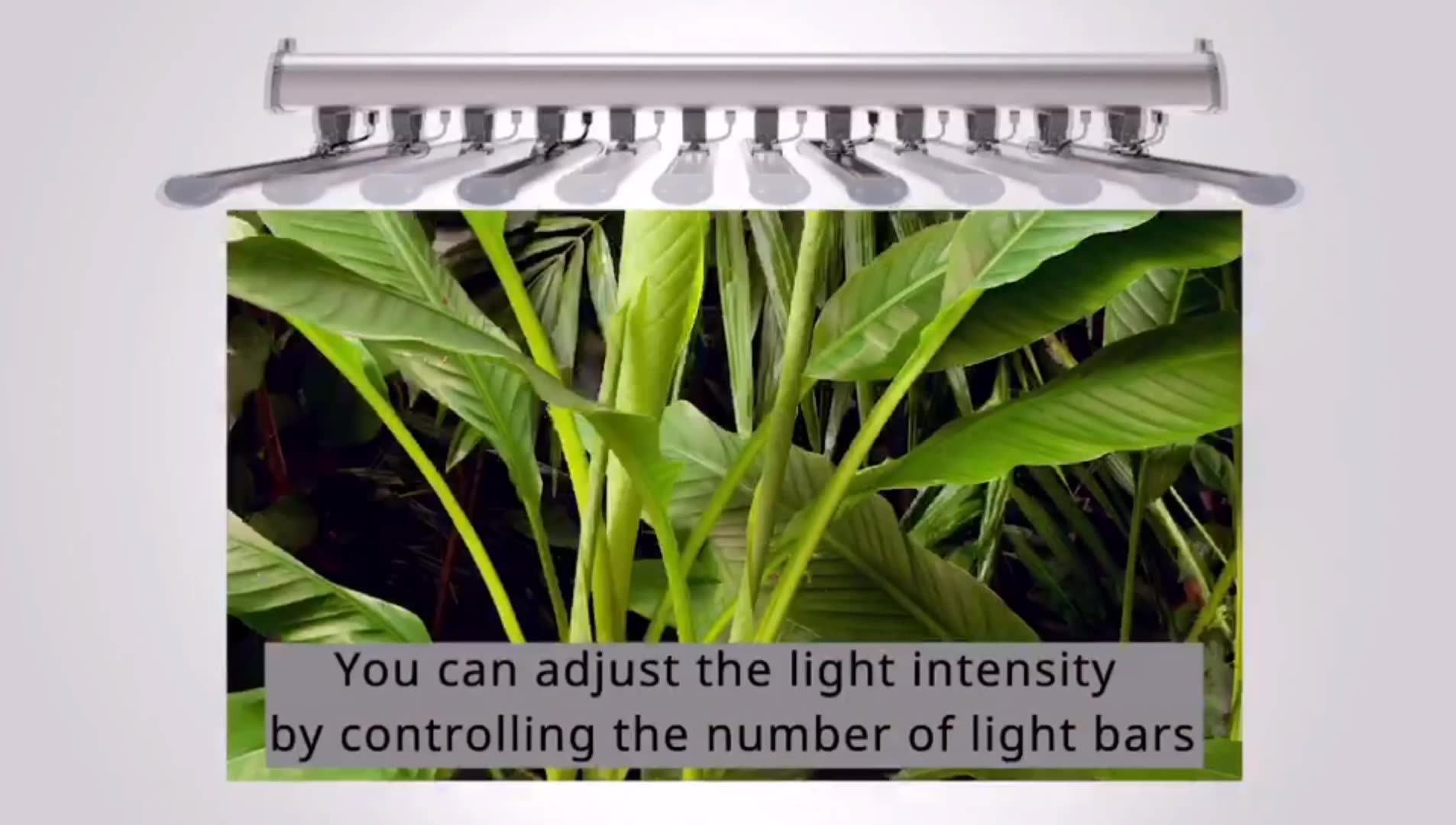 Lux China Factory Led Plant Lighting 12 Bars 660w 1000w 2000w Gavita