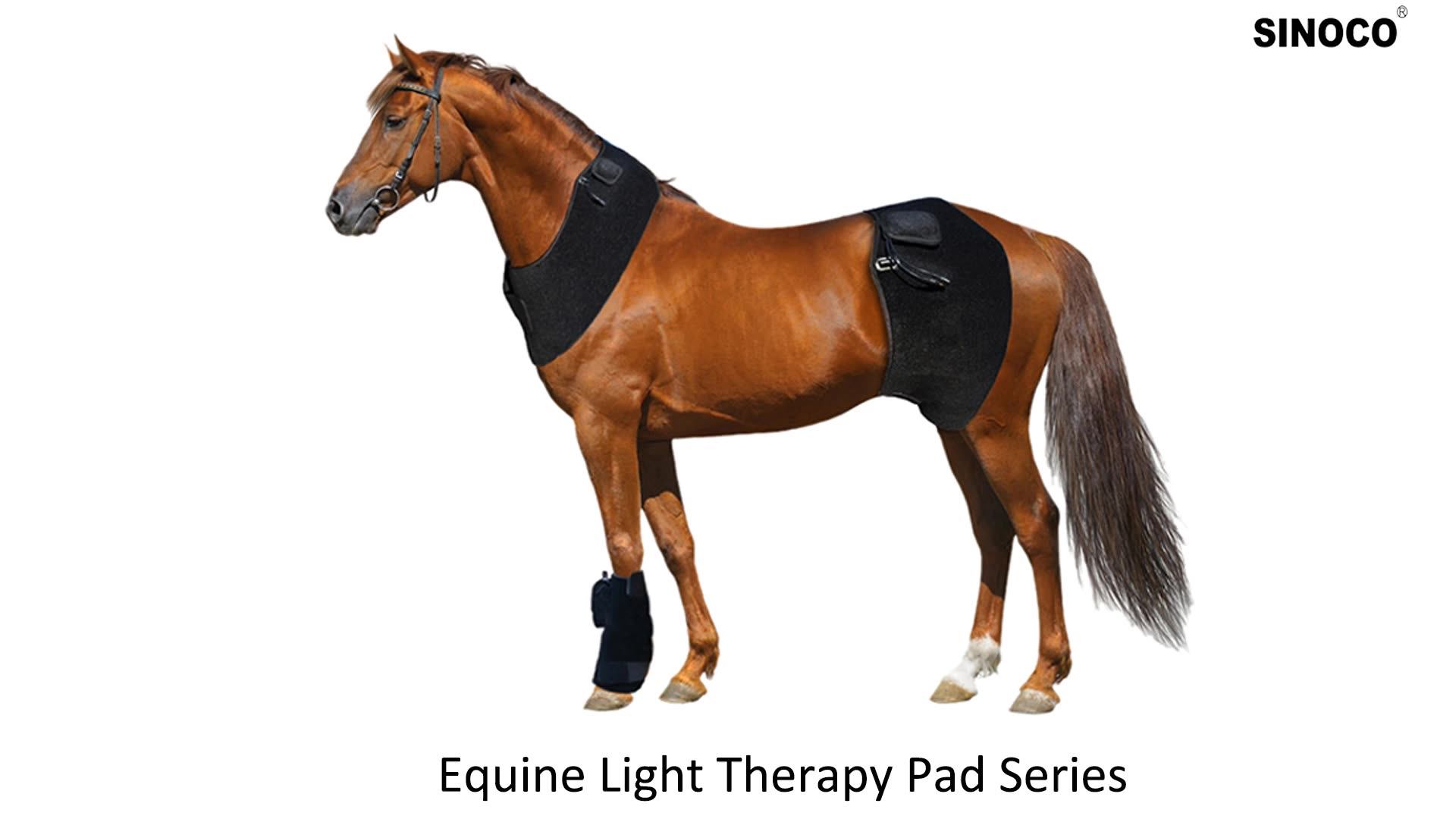 Horse Nir Infrared Red Light Therapy Pad Equine Ankle Saver Hoof Wear