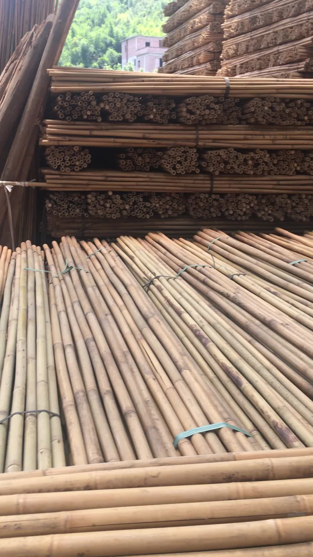 Bamboo Poles Wholesale - Buy Bamboo Poles Wholesale,Iron Bamboo Poles
