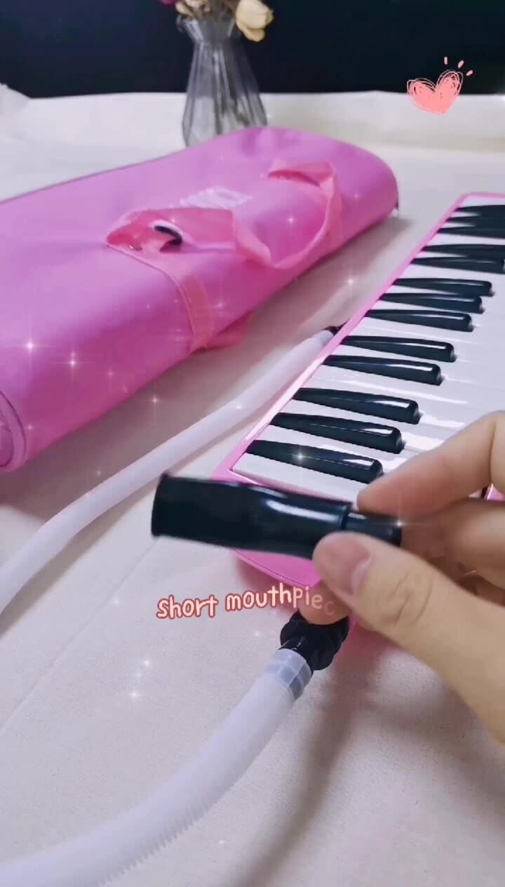 Wholesale Prices Custom Professional Melodica Sinomusik Brand Pianica 32 37 Keys Melodion For