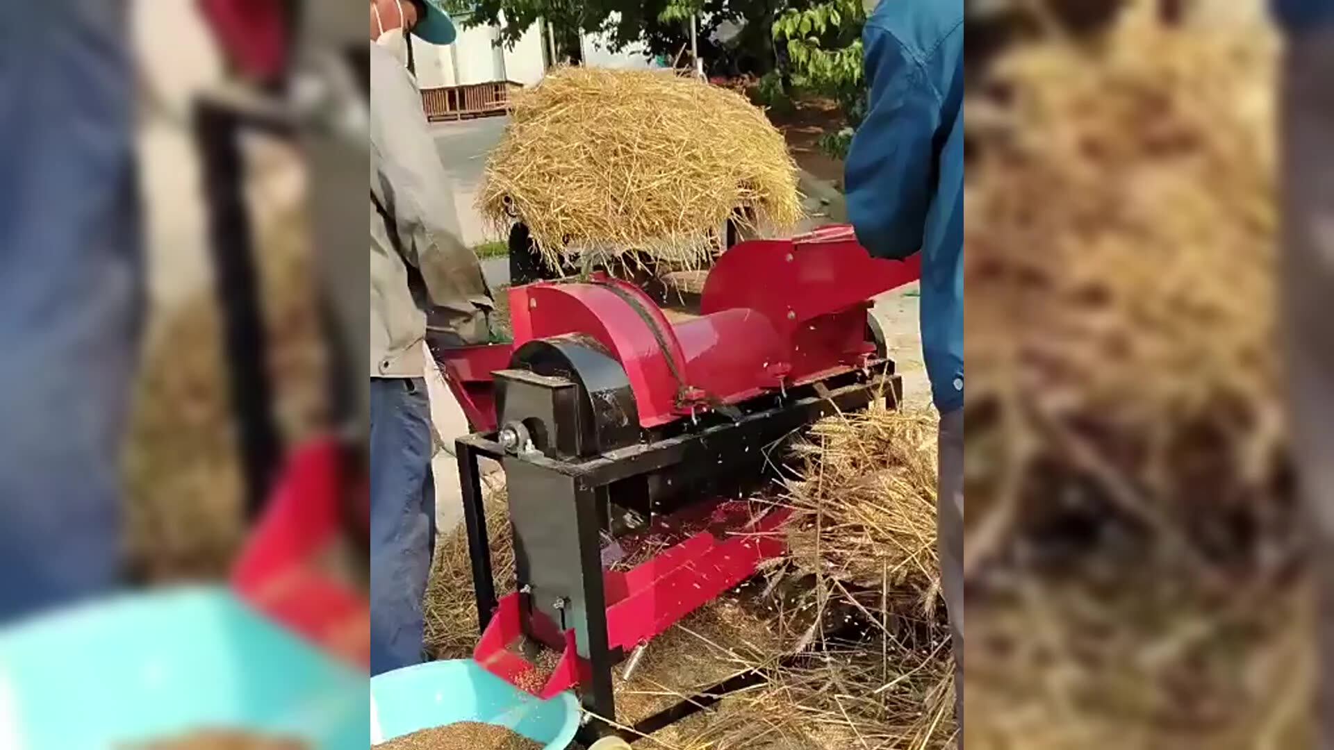 Thresher For Wheat Mung Bean Mini Rice Uses Of Wheat Paddy Sorghum