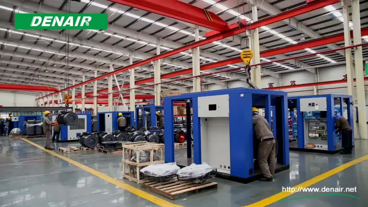 Denair High Volume Big Capacity Pressure 3 Kg Low Pressure Screw Air