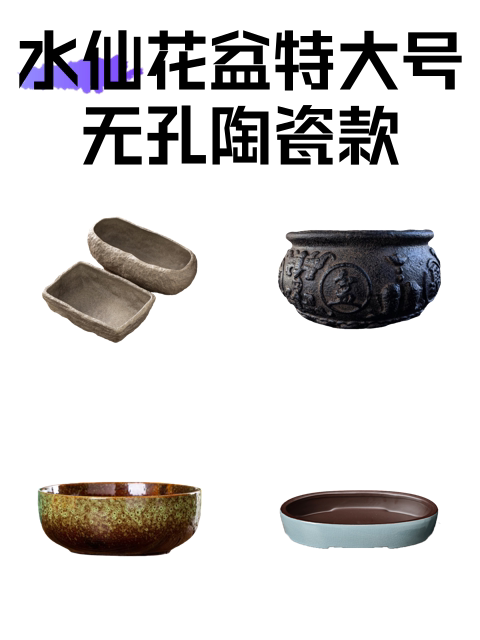 水仙花盆特大号无孔陶瓷款-淘宝逛一逛