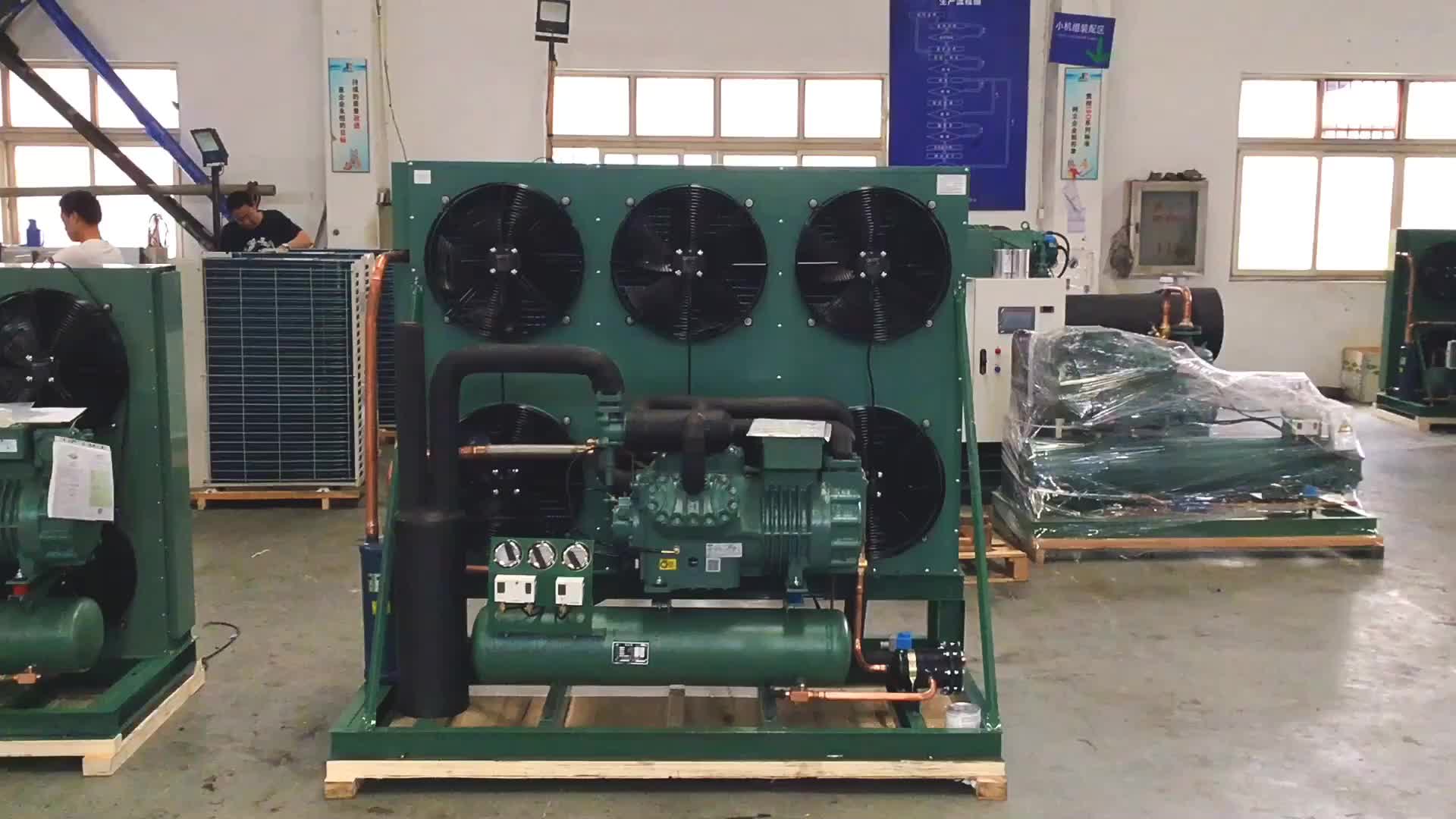 Air Cooled Condensing Unit With Bitzer Single Stage Or 2 Stage