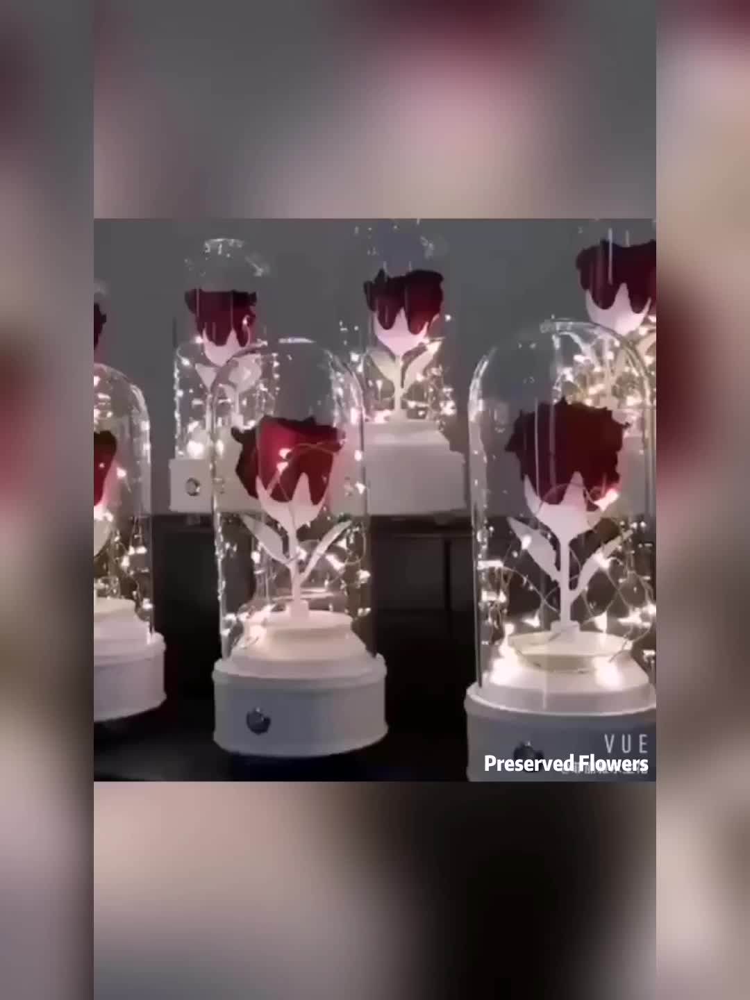 Preserved Flower Rose Real Flower Music Box Wholesale Christmas Music