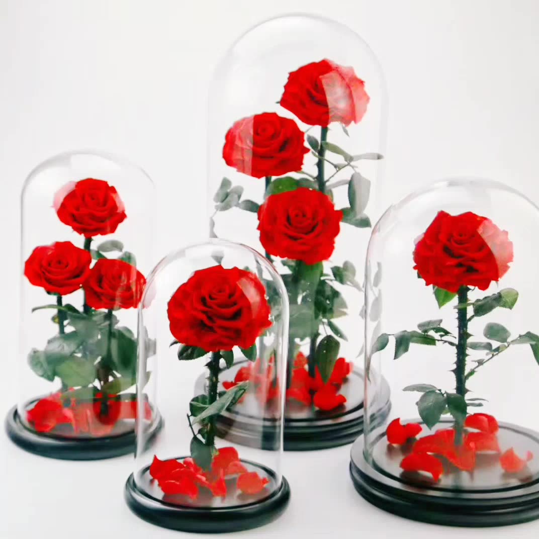 Beautiful A Grade Real Touch Preserved Rose Head 56 Cm Rose Bud 6