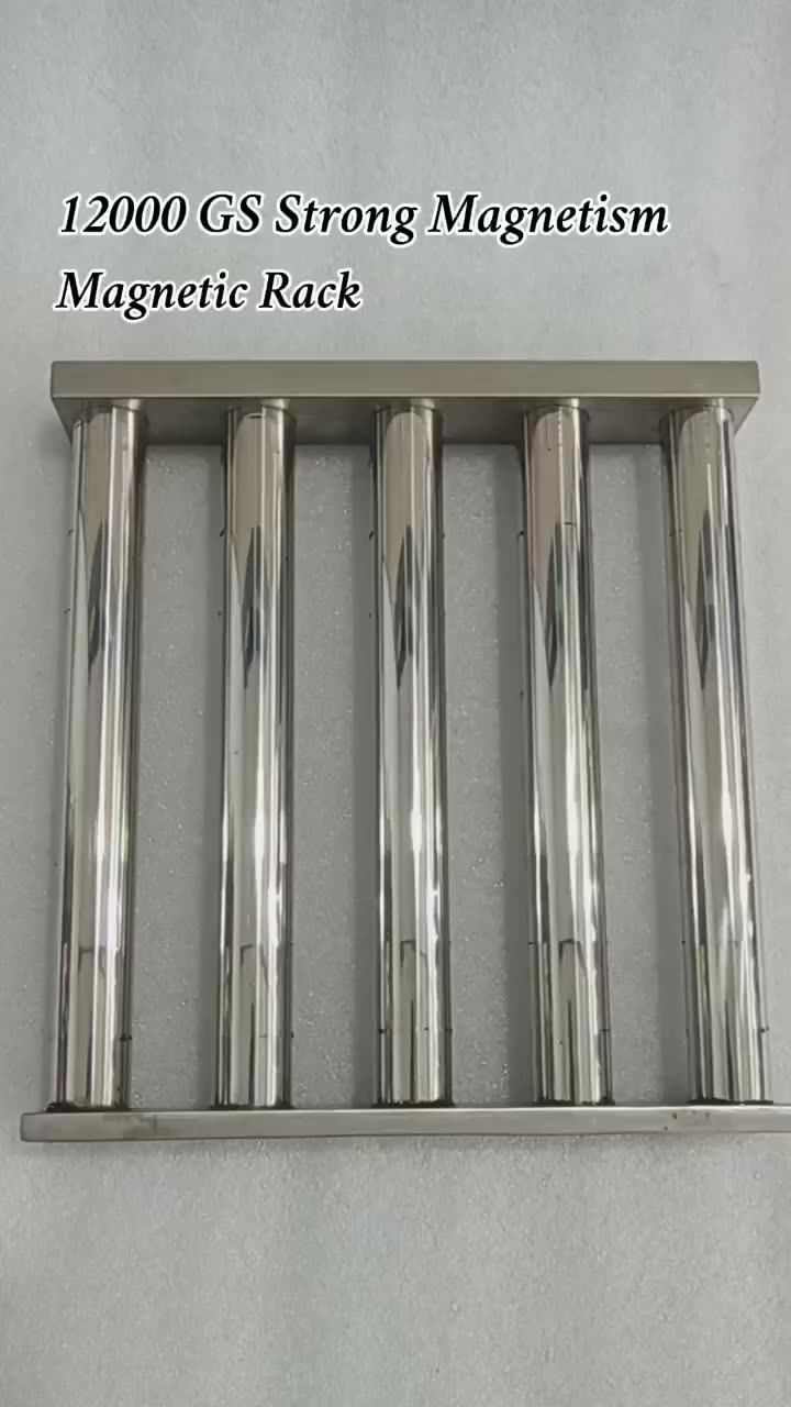 2024 New Products 12000 Gauss 304 316 Stainless Steel Hopper For