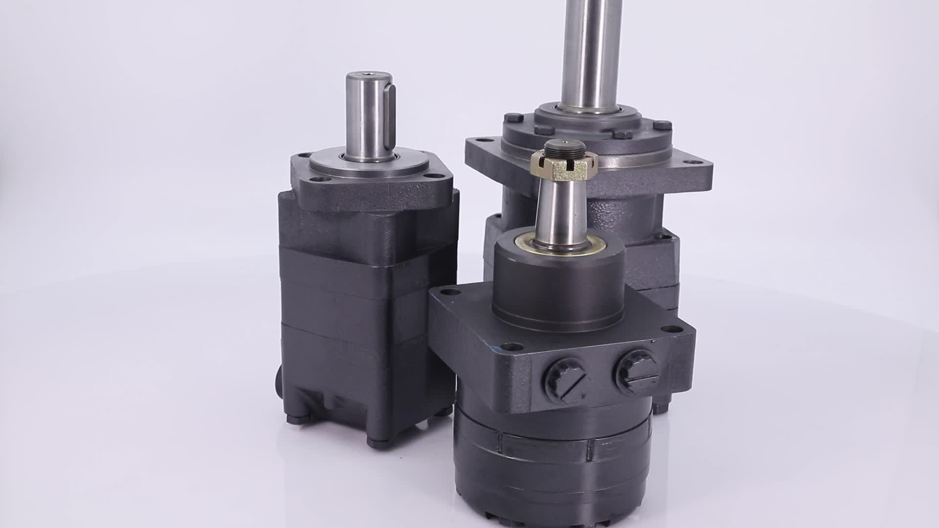 Oz High Speed Small Motor Hydraulics Orbit Motor Can Match 12 Volt