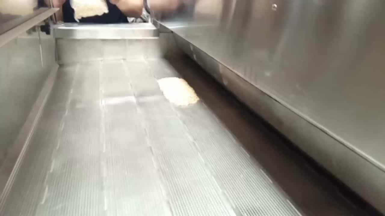 Tunnel Type Peanut Roaster Mesh Conveyor Belt Continuous Combined