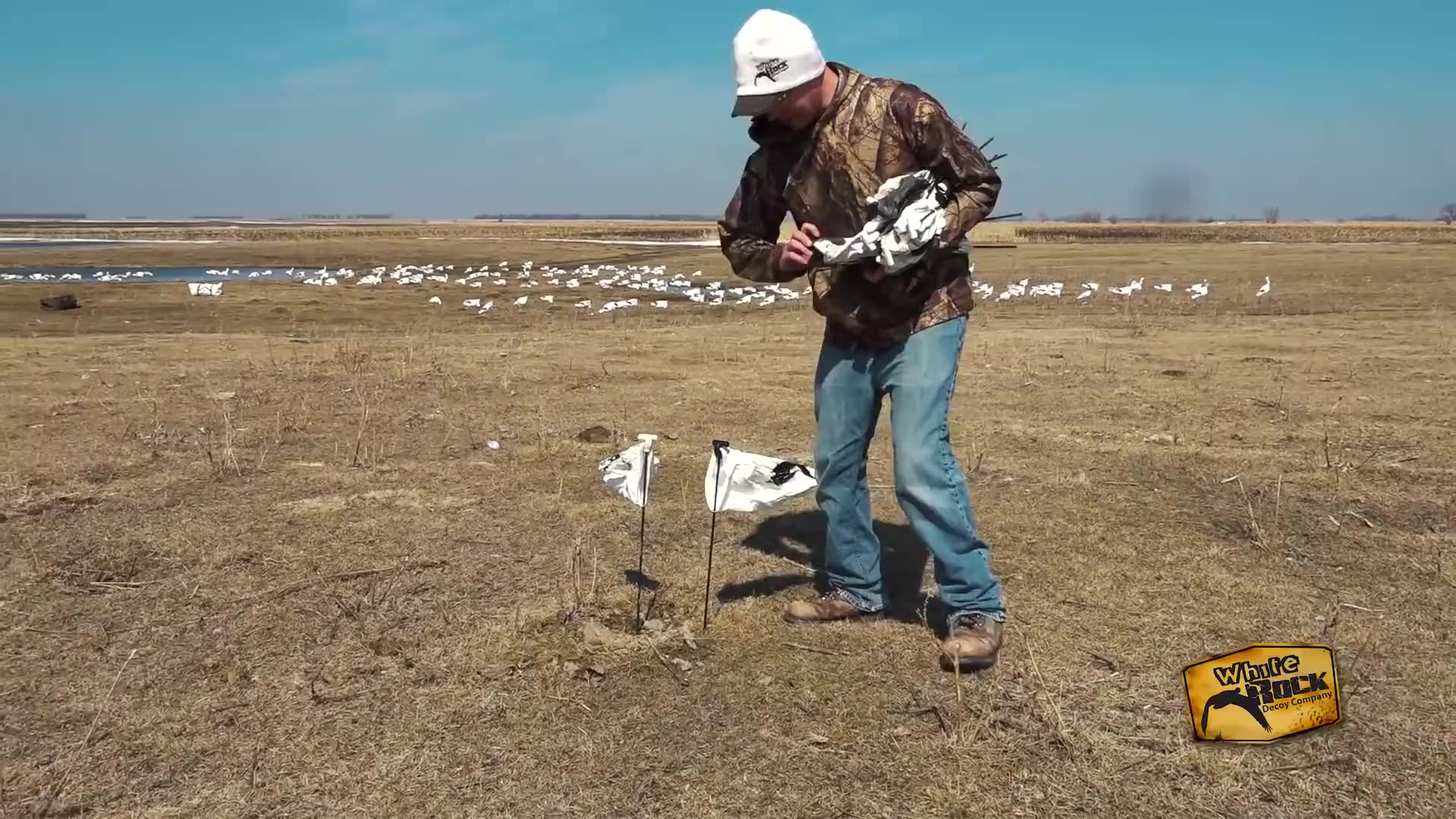 Full Body Goose Decoys Wholesale Snow Goose Windsock Decoys - Buy