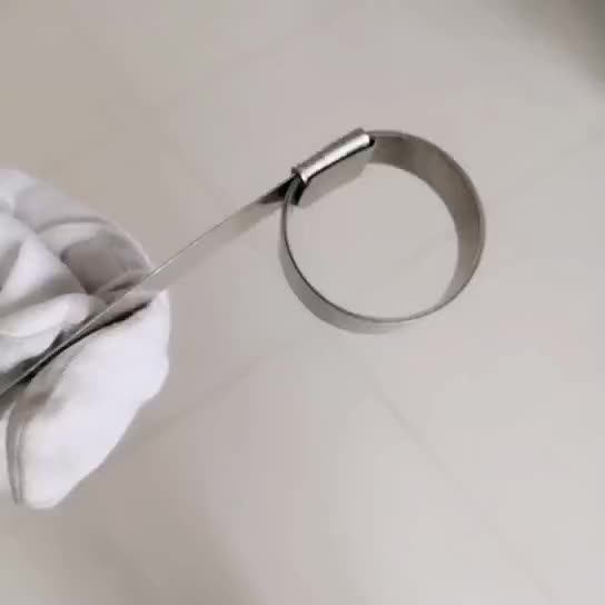 Preformed Punch Type Hose Clamp Round Clamps Types With Zinc Plated