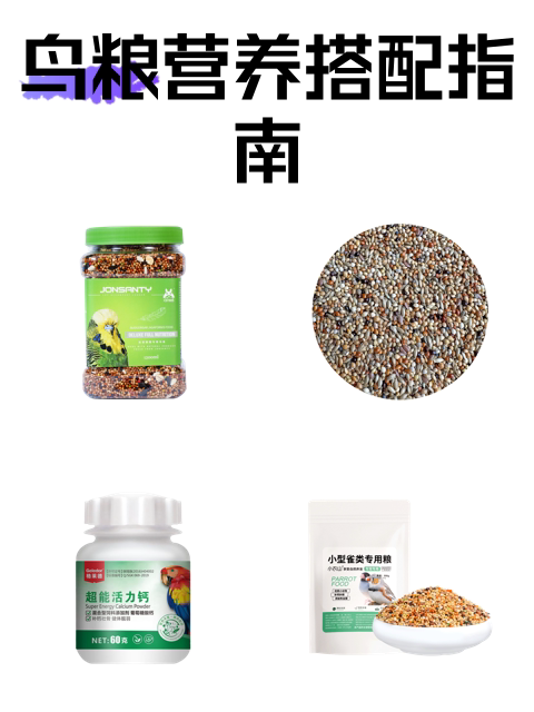 鸟粮营养搭配指南-淘宝逛一逛