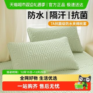 Dewey kraft antibacterial quilted waterproof pillowcase