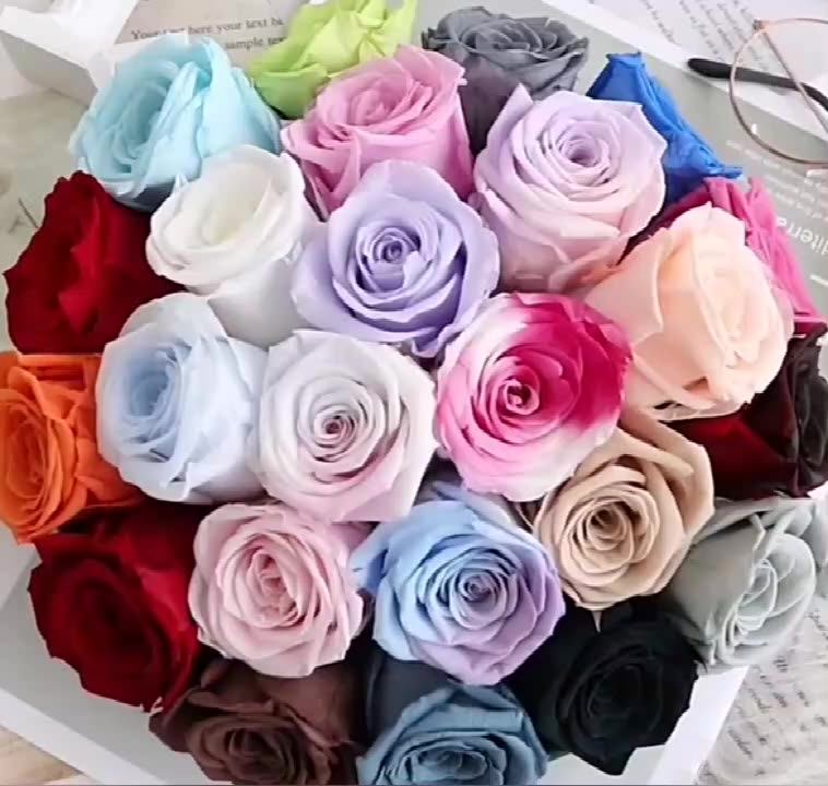 Wholesale 23cm 34cm 45cm 56cm 910cm Size Cm Fresh Cut Flowers