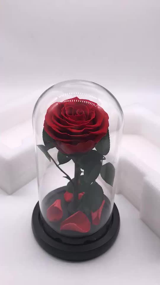 Handmade Preserved Rose Never Withered Roses Flower In Glass Dome,Gift