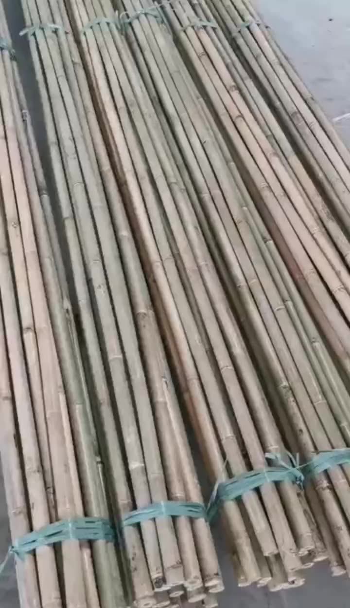 Home Decor Bambou Slats Stakes Construction Bamboos Pole Natural Bamboo