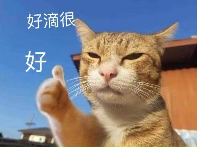 今天开始减肥