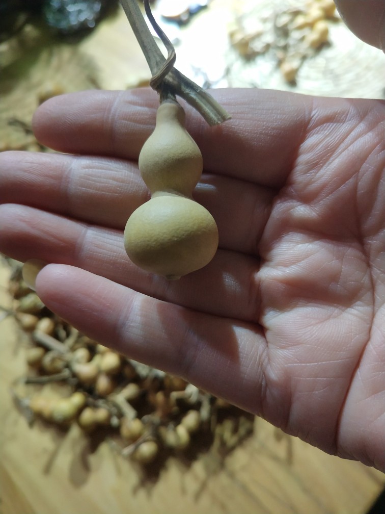 Grass gold bull goods