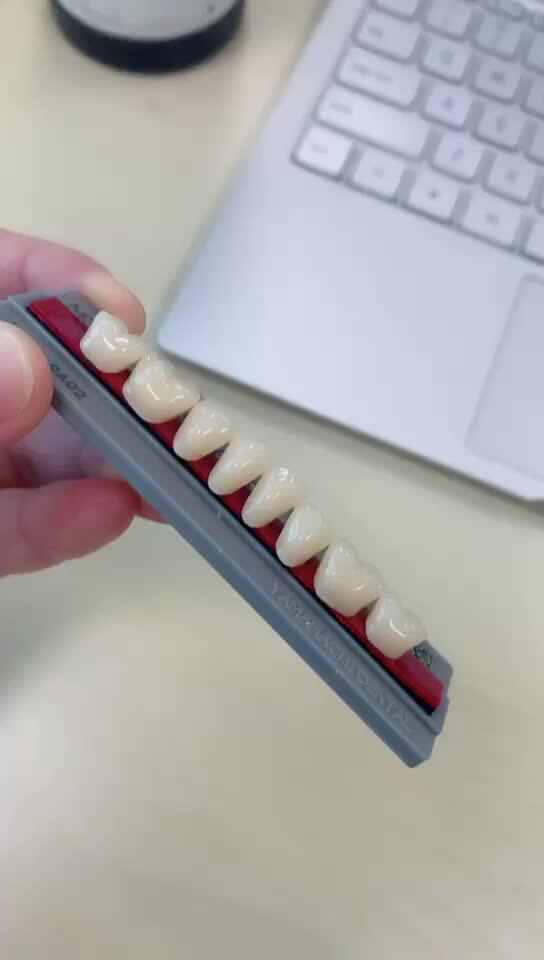 Acrylic Teeth Set Denture Teeth 16color Buy Yamahachi,Artificial