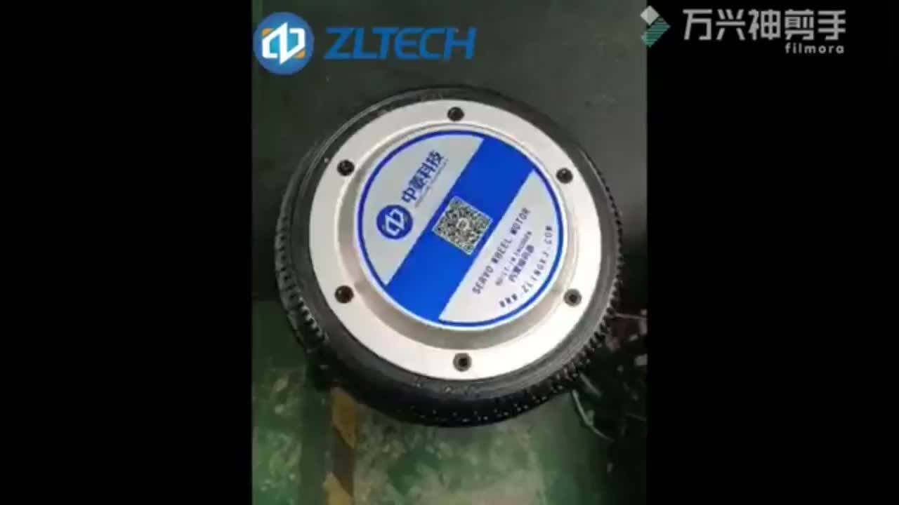 Zltech Low Speed Encoder 6.5inch 150w 24v Carry 120kg 200rpm Brushless