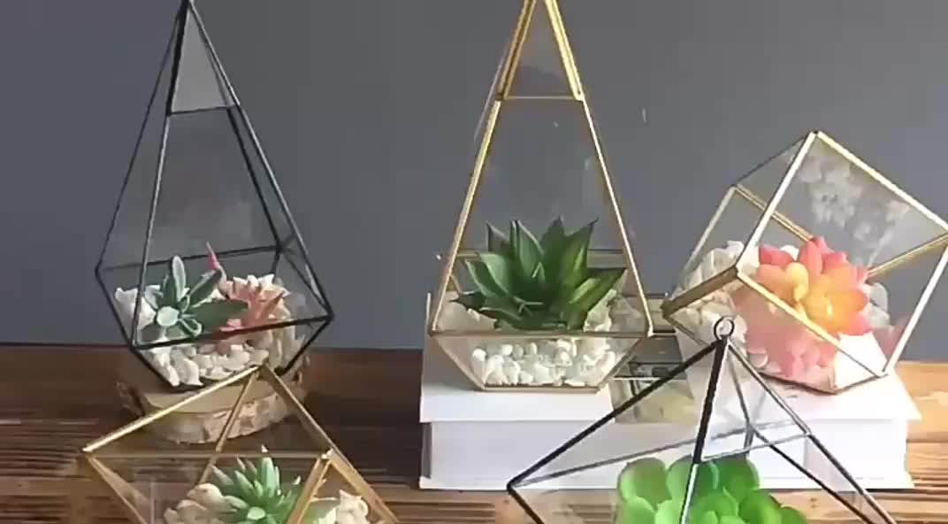 Oem Indoor Clear Glass Decoration Vase For Air Plant Buy Terrarium