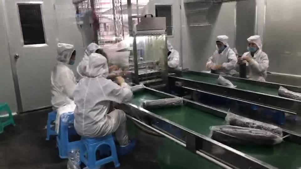 Automatic Mushroom Inoculation Machine Buy Mushroom Inoculation