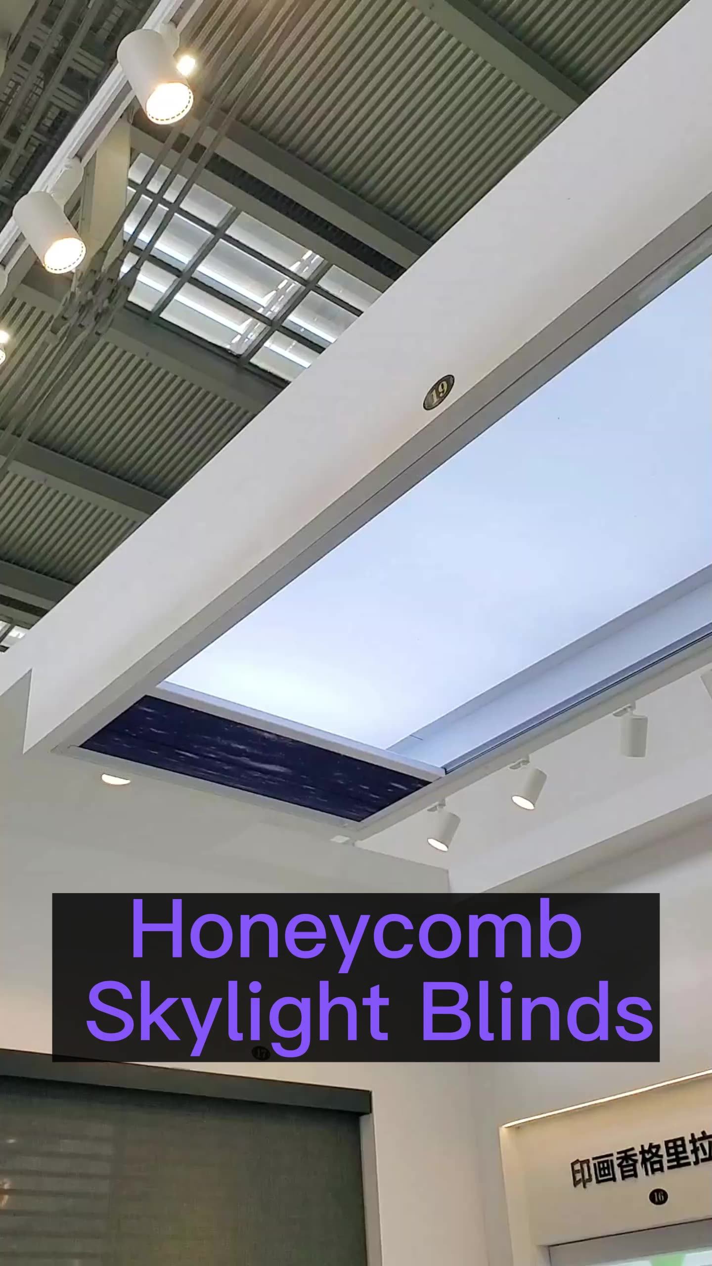 Electric Motorized Blackout Skylight Blinds Solar Blinds