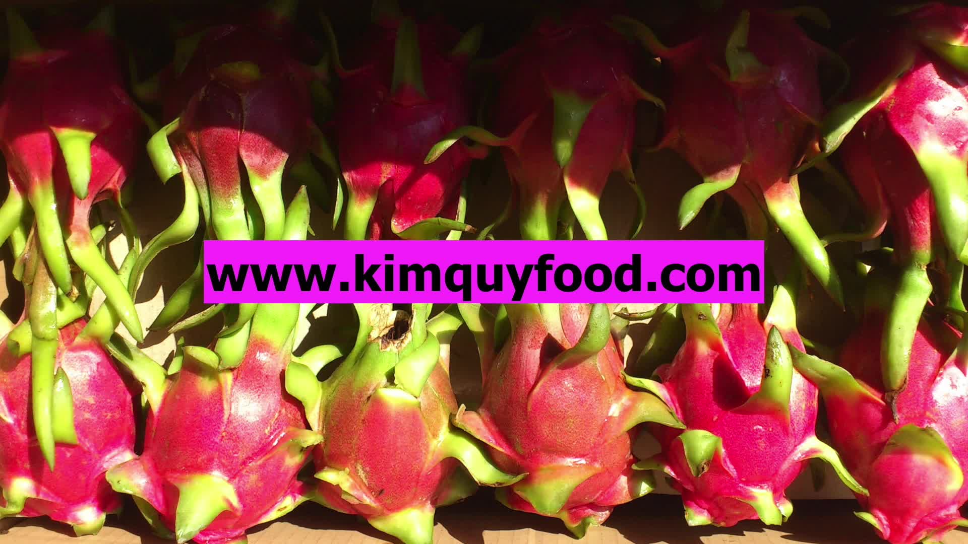 Frozen Dragon Fruit Pulp / Frozen Red Dragon Fruit Pulp / Frozen Dragon