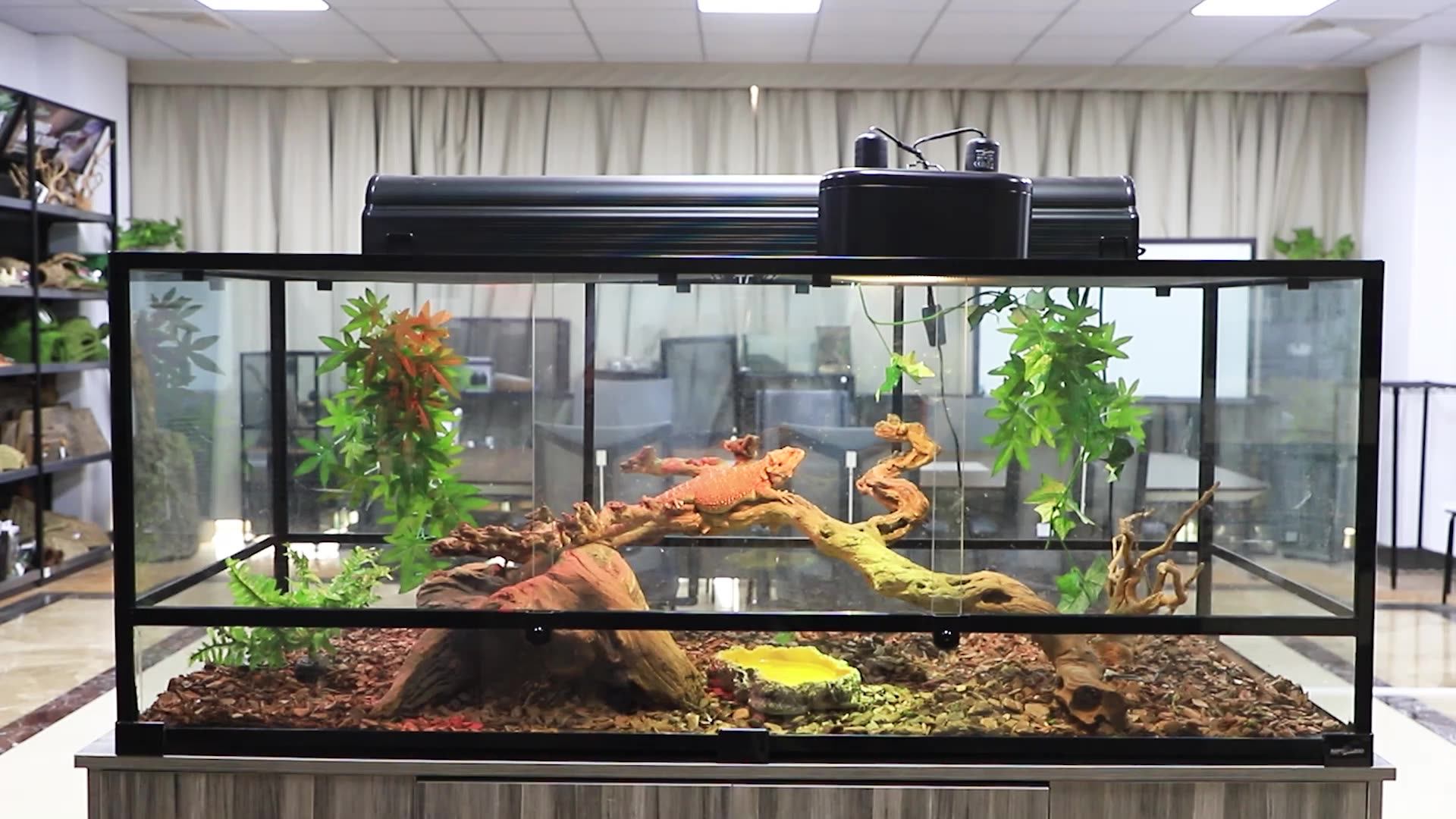 Reptizoo Rk0118 Hotsale Knockdown Collapsible Full Screen Reptile