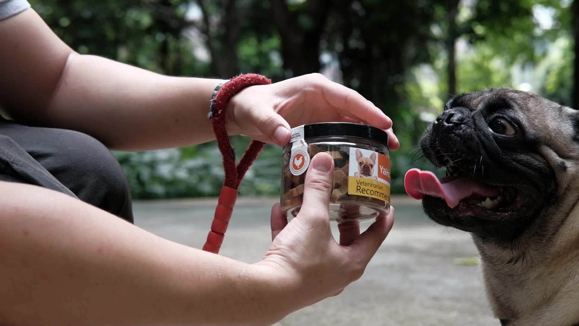 Hot Selling Product Vietnam Pet Biscuits And Treats Dog Snack Pet Food