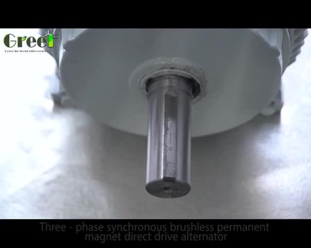 1mw 2mw 3mw 5mw Skf Bearings Permanent Motor Generator For