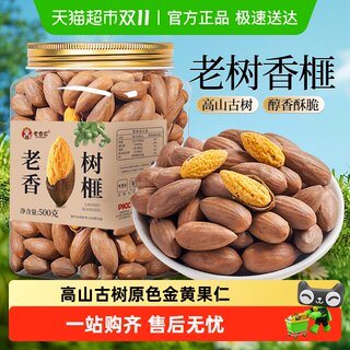 Old shannon's new arrival, old tree torreya seeds, large nuts