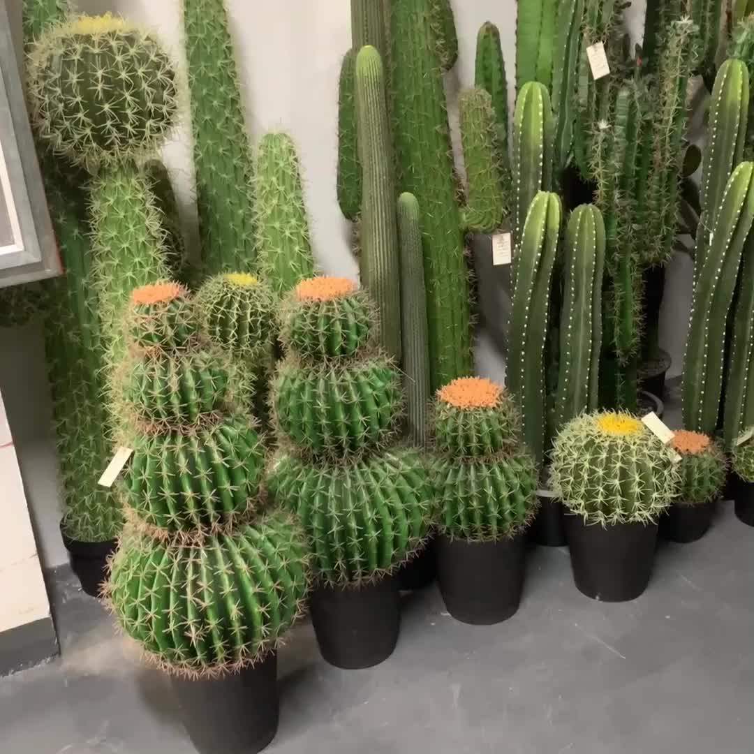 Factory Direct Sale Artificial Plastic Cactus Plants For Home Decor