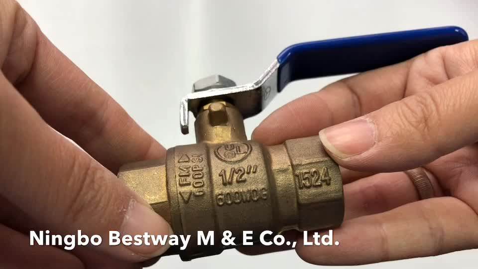 Lead Free Brass Pex Valve With Drain Fipxpex Brass Ball Valve Buy Pex
