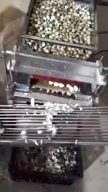 china quail egg peeler machine supplier china quail egg peeler machine supplier